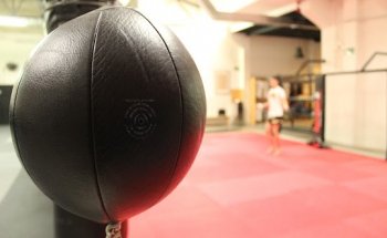 Killer Bees Muay Thai College Madrid