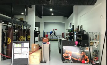 Escuela de Boxeo - Club de la Lucha Madrid