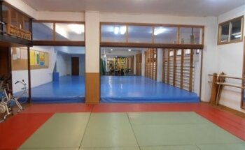 Aikido, Club Zuhaizti
