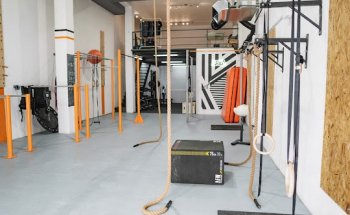 AREA CALISTHENICS