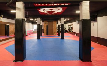 Club deportivo Talma Madrid