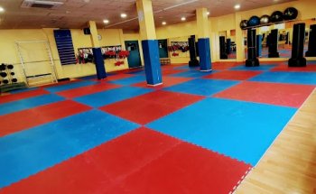 Club De Taekwondo Jan su Figueres