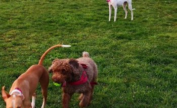 Parque de Street WorkOut Zaratán