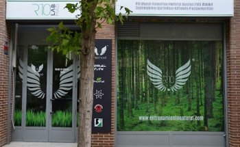 R10LabMad. Movnat Entrenamiento Natural. Animal Flow Spain