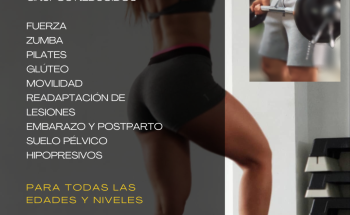 Rein Entrenamiento Personal