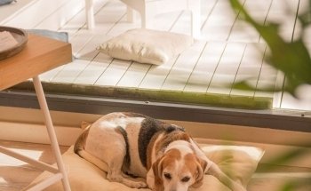 Le Studio Pilates - Chiclana de la Frontera
