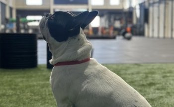 Pandora Box CrossFit