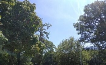 Escuela de Piragüismo Lugo