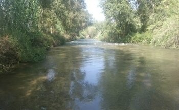 Rio La Pea Villamarxante