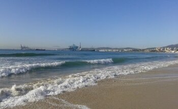 Algeciras Cerca De Palmones