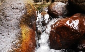 Rio de la miel