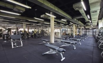 Body Factory Prado