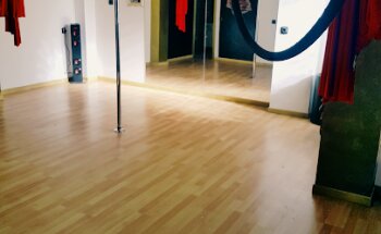 THE POLE DANCE PANTHER STUDIO