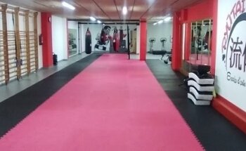 GIMNASIO DE ARTES MARCIALES RYUTAI