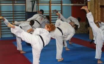 Taekwondo Lee Young Cerdanyola