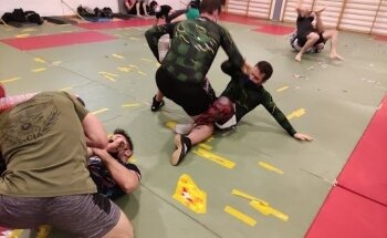 MMA y Lucha Grappling
