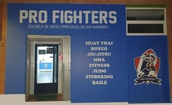 Pro Fighters