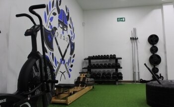 Viking Centro (P.F.D.R)