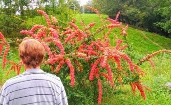 Suburbia Unlimited Fitness
