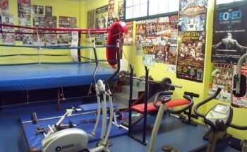 Gimnasio Paco Bueno Udal Ginasiolekua