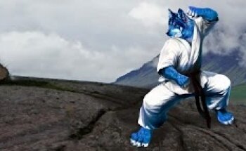 Club Deportivo Okami - Artes Marciales