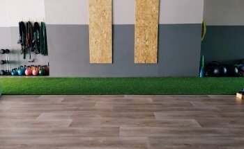 Movimental Entrenamiento