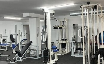 The Warriors Martial Arts Club