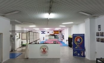 Taekwondo, Escuela de Artes Marciales El Viso Del Alcor