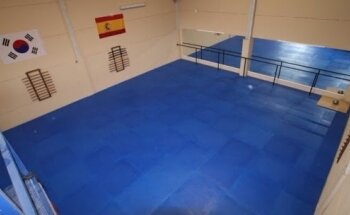 SungLi Doyang. La Escuela de Artes Marciales de Espartinas