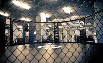 CAMM Fitness & Fight