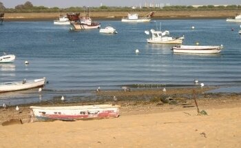 Club De Piragüismo punta Umbria