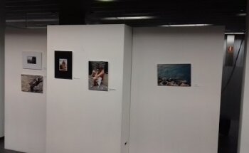 Polideportivo Cizur / Zizurreko polikiroldegia