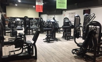 Altafit Gym Club Gijón San Agustín