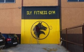 Sly Fitness Gym