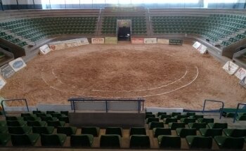 Terrero Insular Mencey Tegueste