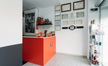 team s.leon ( kick Boxing, k1, Boxeo, Aeroboxing)