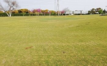 Inst. Deportiva La Cartuja