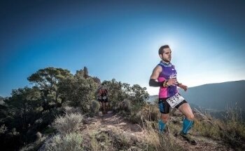 Optimiza Tu Entrenamiento