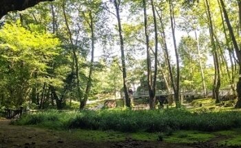 Imanol Loizaga Entrenamiento y Consultoría Deportiva