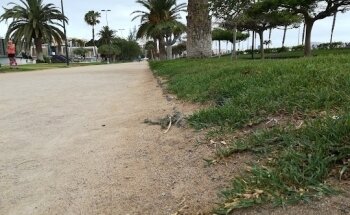 Alberto Rodríguez Entrenador Personal y Grupal Las Palmas