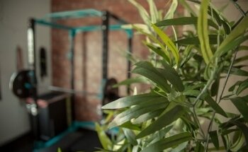 Entrenamiento Personal, Nutrición y Neuroeducación DESENTRÉNATE