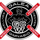 GIMNASIO GALEA WELLNESS CENTER.