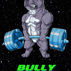 Bully Fitness