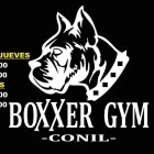 Boxxer Gym And Fitness