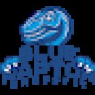 CrossFit Blue Raptor