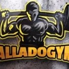 Valladogym