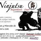 Ninjutsu Granollers(Budo Taijutsu Calero)
