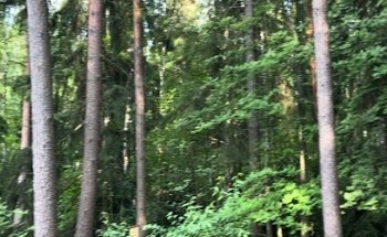 Outdoor Gym Simonsilta