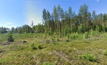 Kuntogymmaria