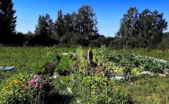 Kråkvilan Garden & Wellness